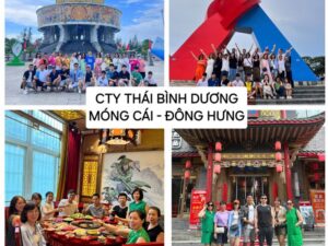 tour-mong-cai-dong-hung-9