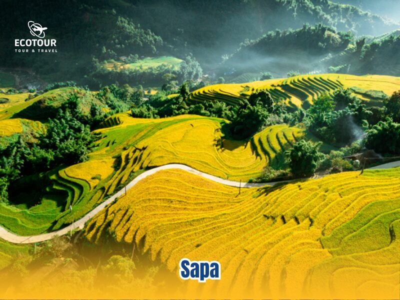 Sapa