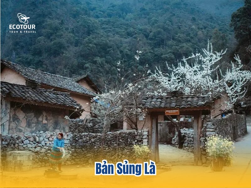 ban-sung-la