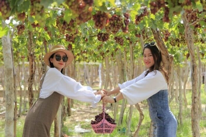 Tour Nha Trang – Vĩnh Hy 4 Ngày 3 Đêm