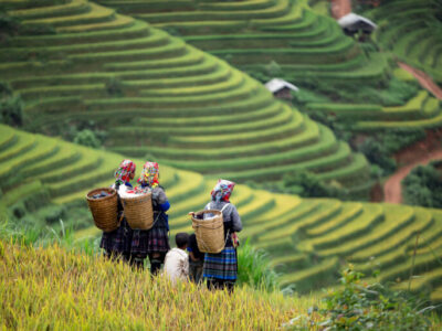 Tour Tp.Hồ Chí Minh – Tây Bắc 5 Ngày 4 Đêm