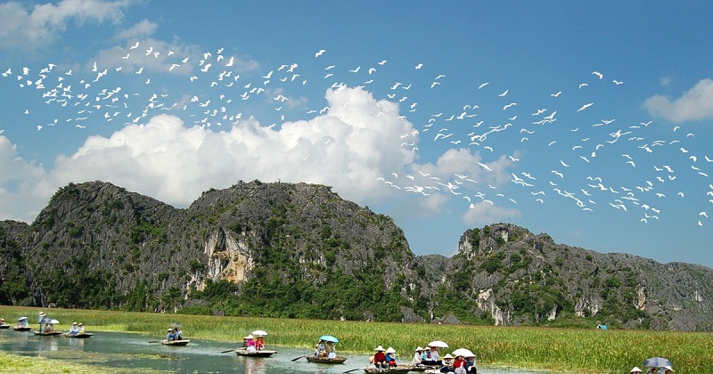 dam-van-long-kham-pha-chim-di-cu