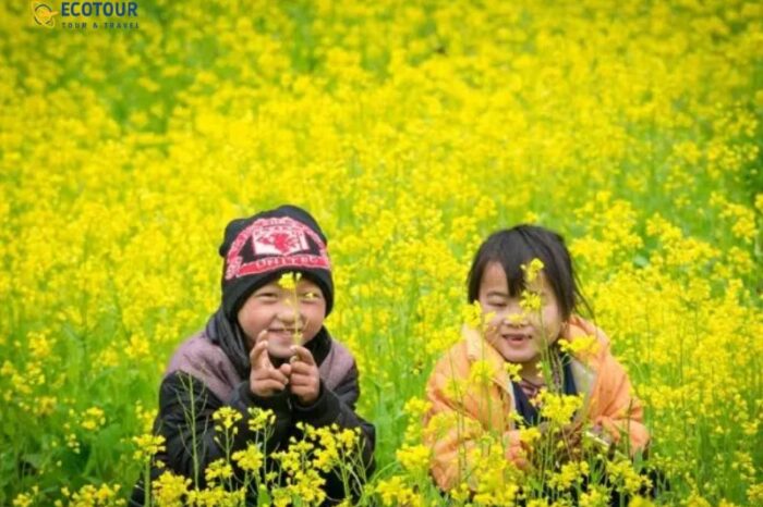 Tour Hà Giang – Sapa – Lai Châu – Điện Biên – Sơn La – Hòa Bình 7 Ngày 7 Đêm