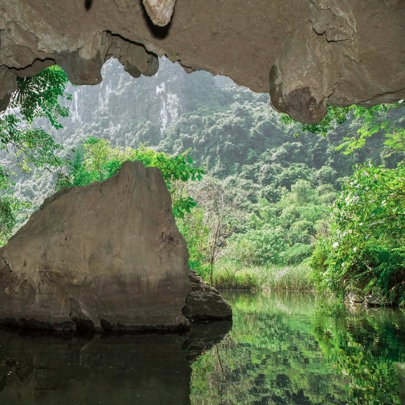 hang-dot-trang-an