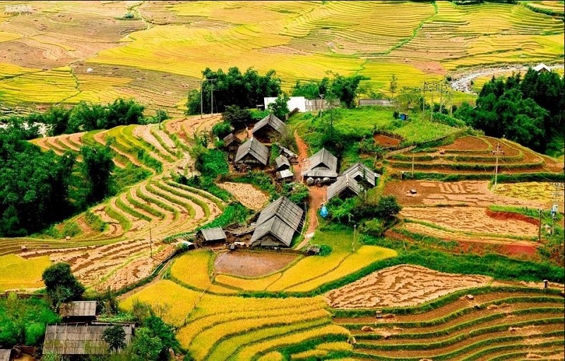 thung-lung-muong-hoa-sapa-ban-cat-cat