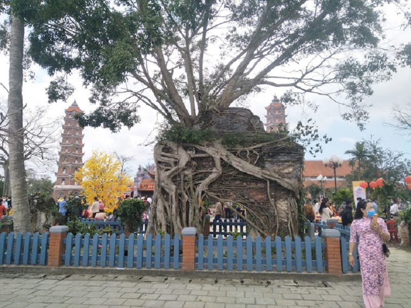 chua-hoang-phuc-mang-gia-tri-van-hoa-lich-su-dac-biet