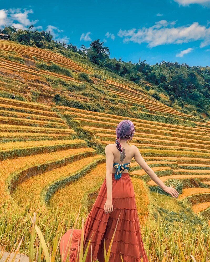 chup-anh-ruong-bac-thang-mu-cang-chai