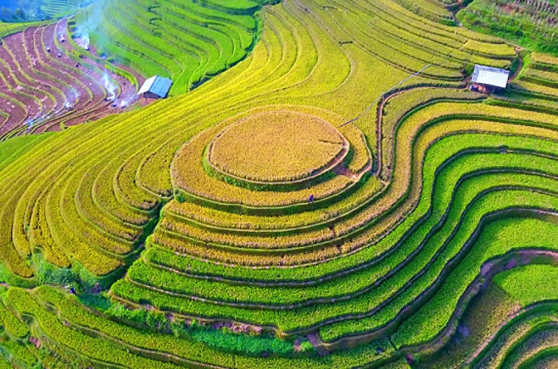 doi-mam-xoi-la-pan-tan