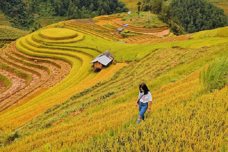 doi-mam-xoi-thang-9
