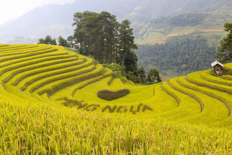 doi-mong-ngua-mu-cang-chai
