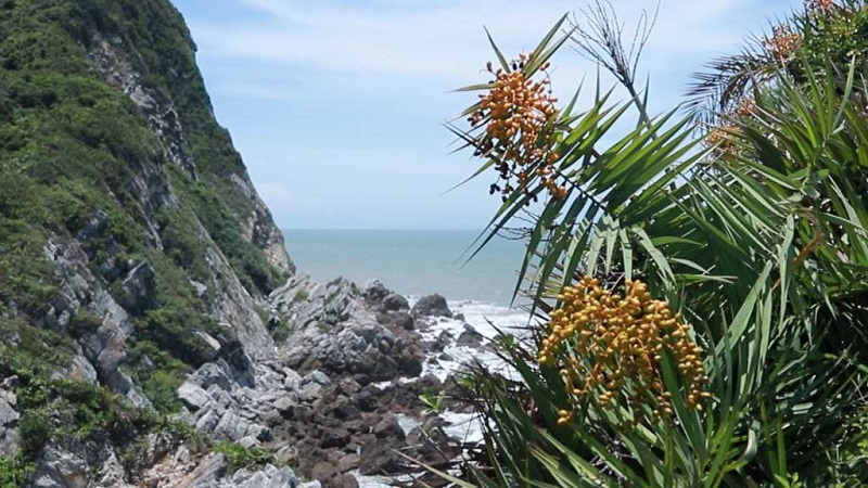 kham-pha-bai-chuong-do-eo-gio-quan-lan
