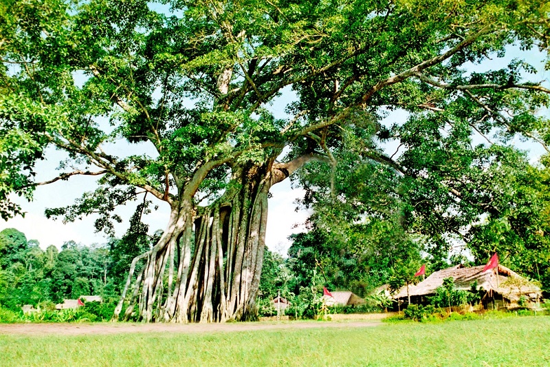 khu-di-tich-lich-su-tan-trao