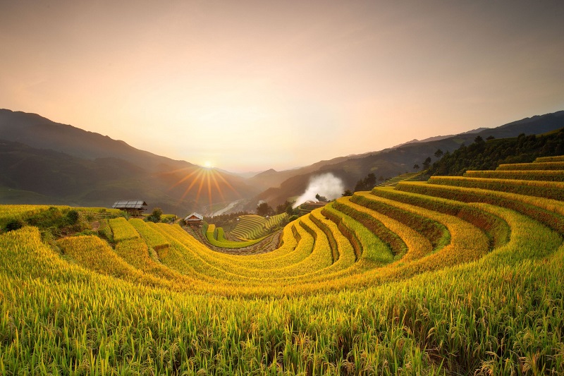 mong-ngua-thang-9