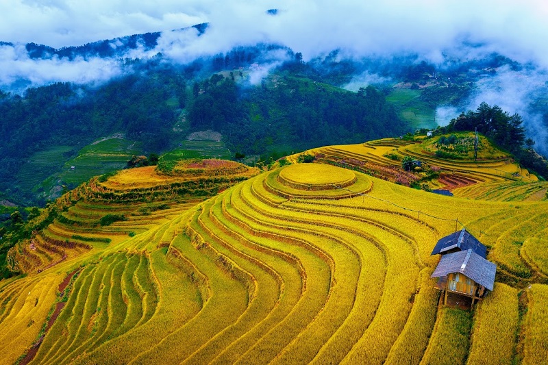 mu-cang-chai-mua-nao-dep