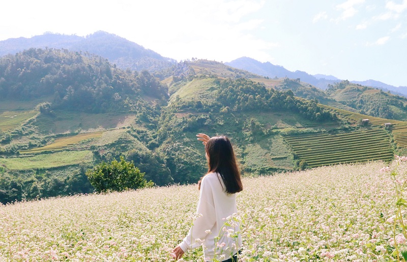 mua-hoa-tam-giac-mach-mu-cang-chai