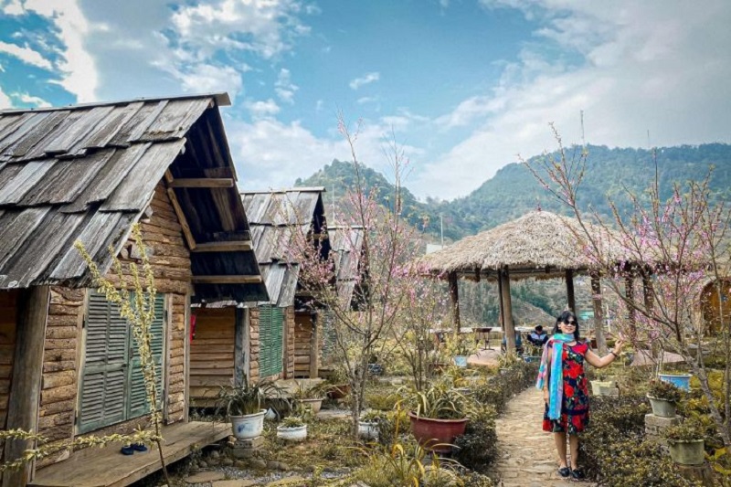 ta-xua-hills-homestay
