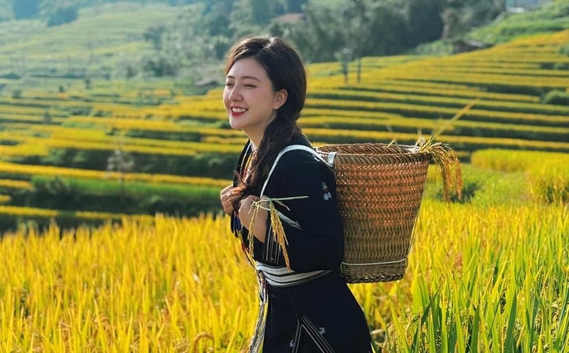 tan-huong-khong-khi-trong-lanh-hong-thai