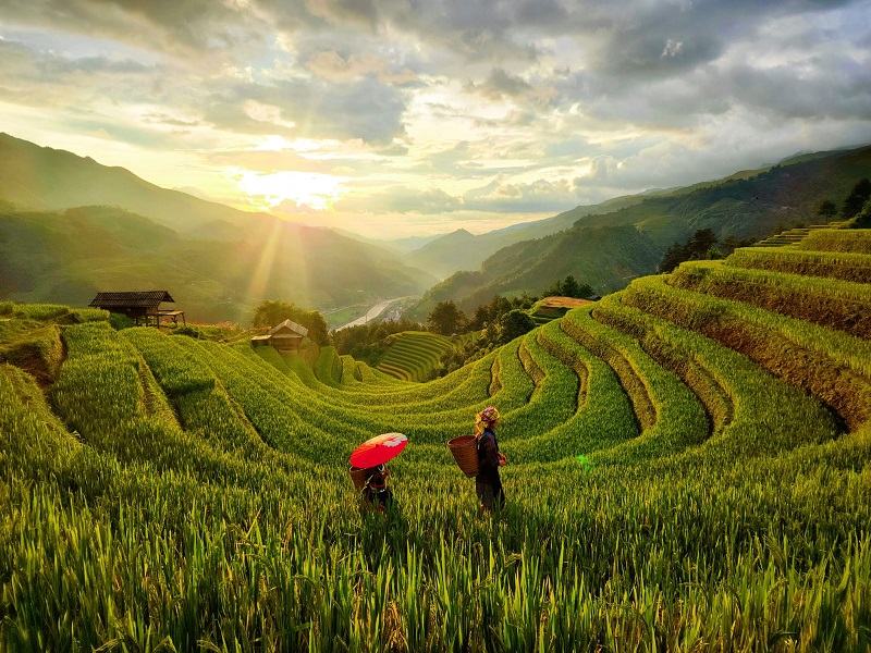 thoi-diem-den-mu-cang-chai
