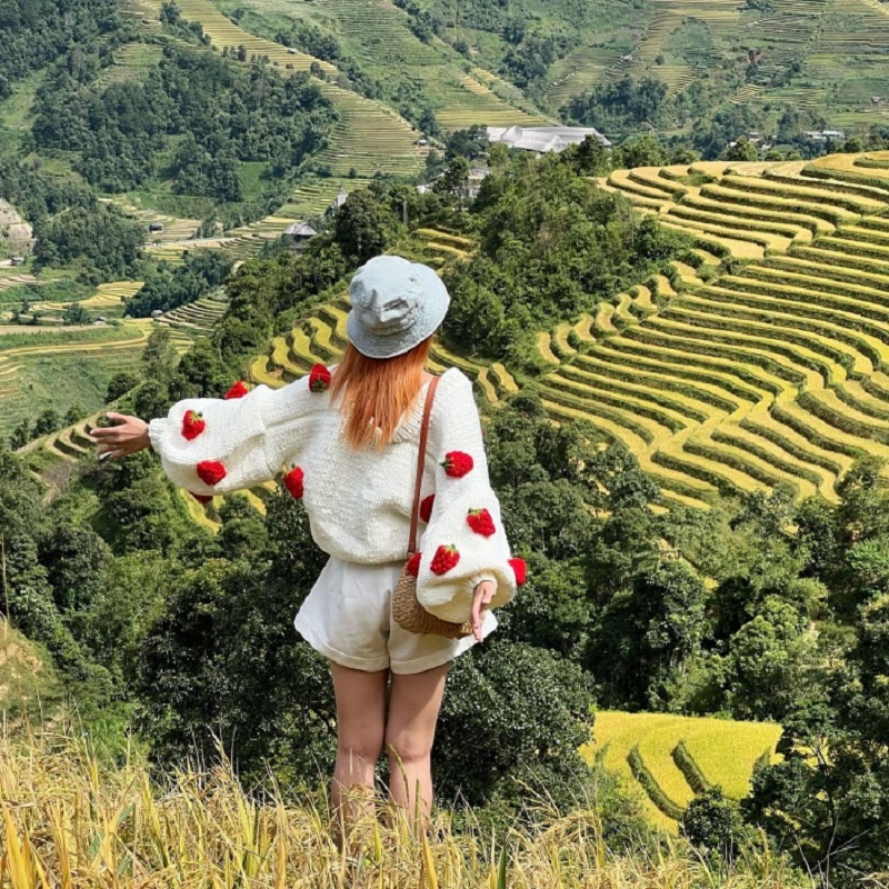 thoi-diem-den-ruong-bac-thang-hong-thai