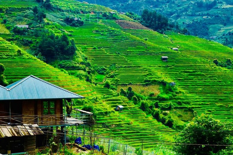 Do-Gu-Homestay