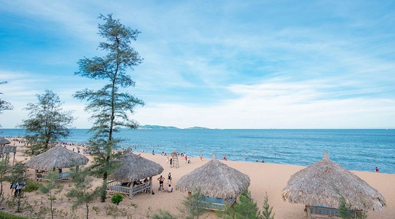 bai-tam-o-bai-dong-nghi-son