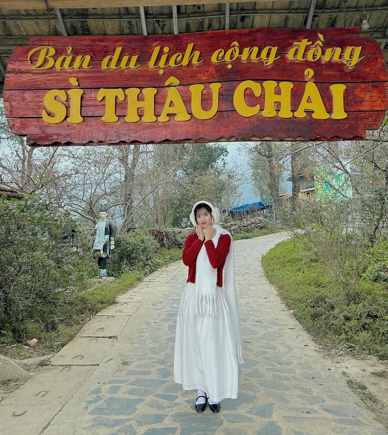 ban-si-thau-chai
