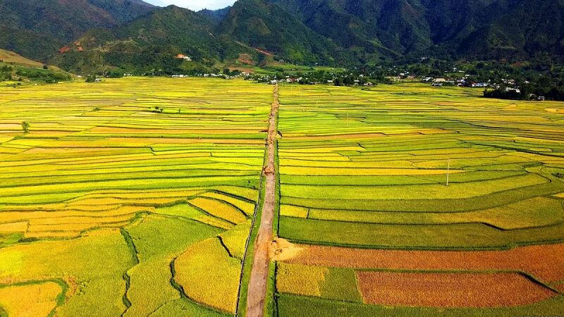 canh-dong-muong-than-lai-chau