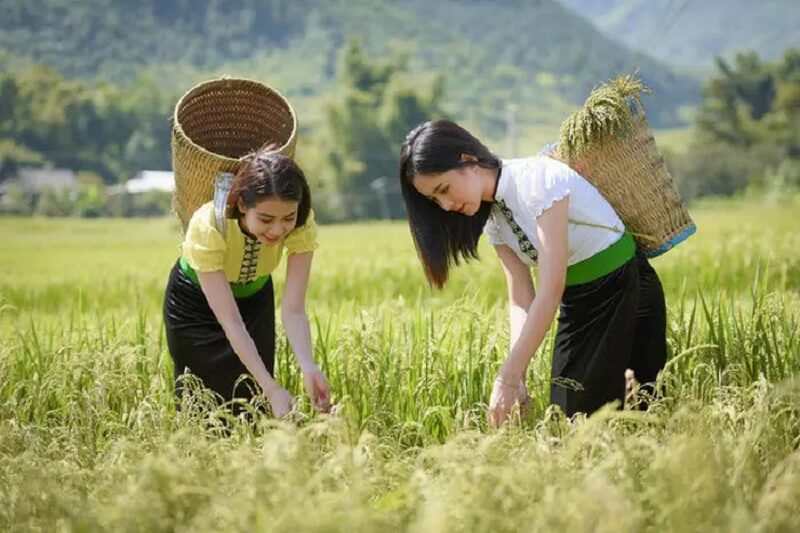 giao- luu-van-hoa-voi-nguoi-thai