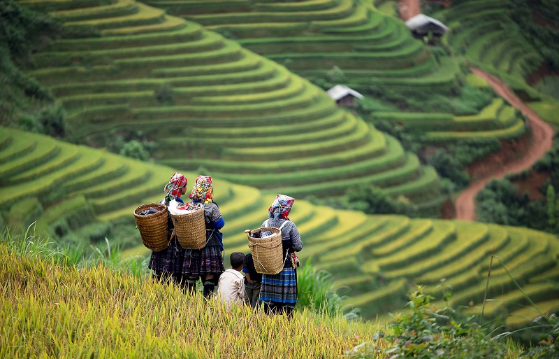 lai-chau-dien-bien