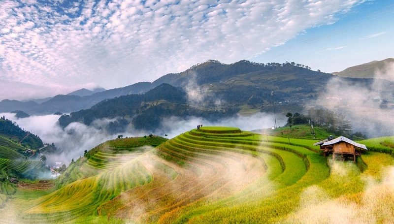 mu-cang-chai-mo-suong