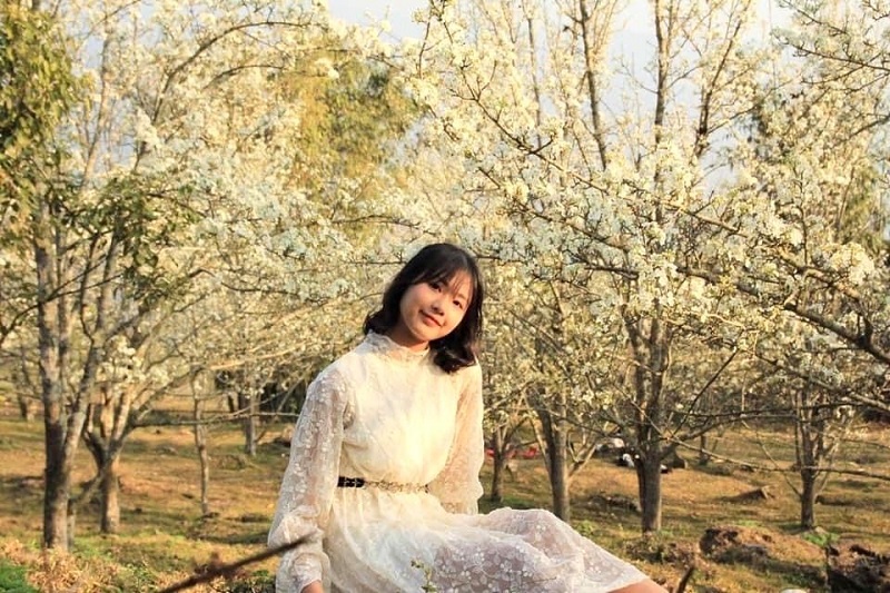 na-hang-mua-hoa-le