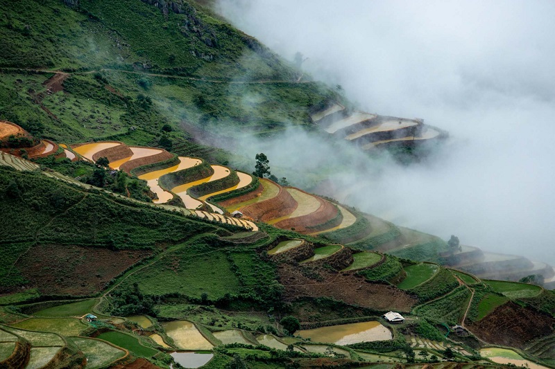 ta-xua-mua-nuoc-do