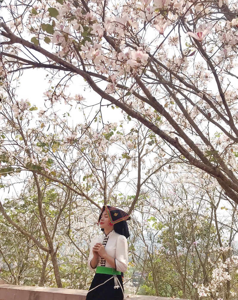 thang-3-dien-bien-hoa-ban