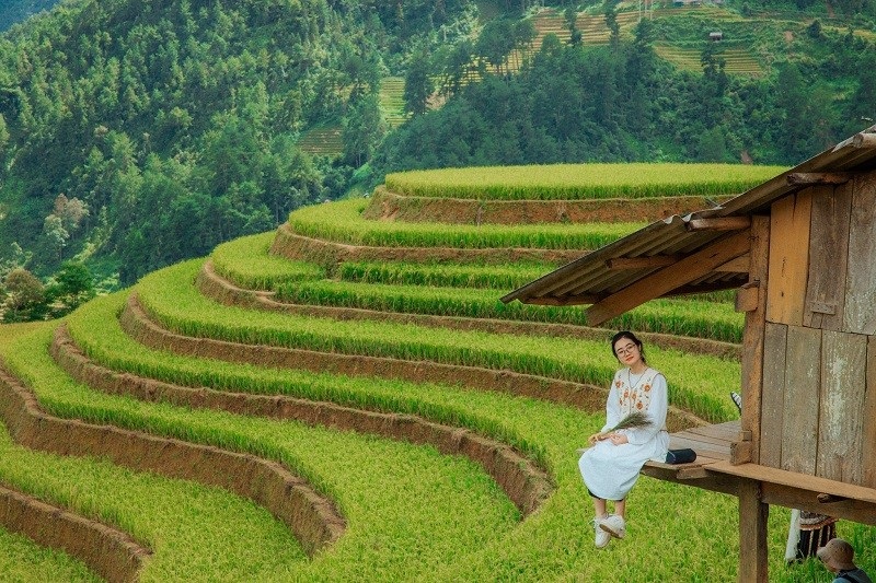 thien-nhien-yen-binh-mu-cang-chai