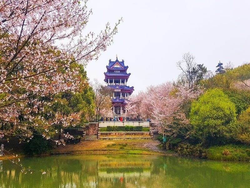 vo-tich-trung-quoc