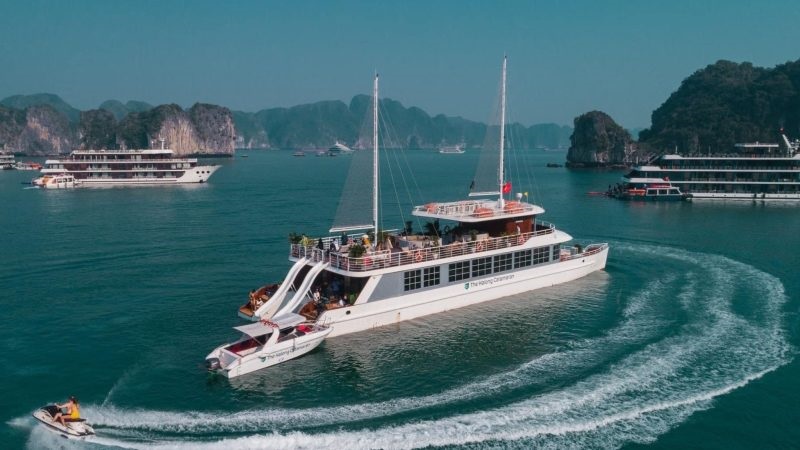 gia-tour-trong-ngay-vinh-ha-long