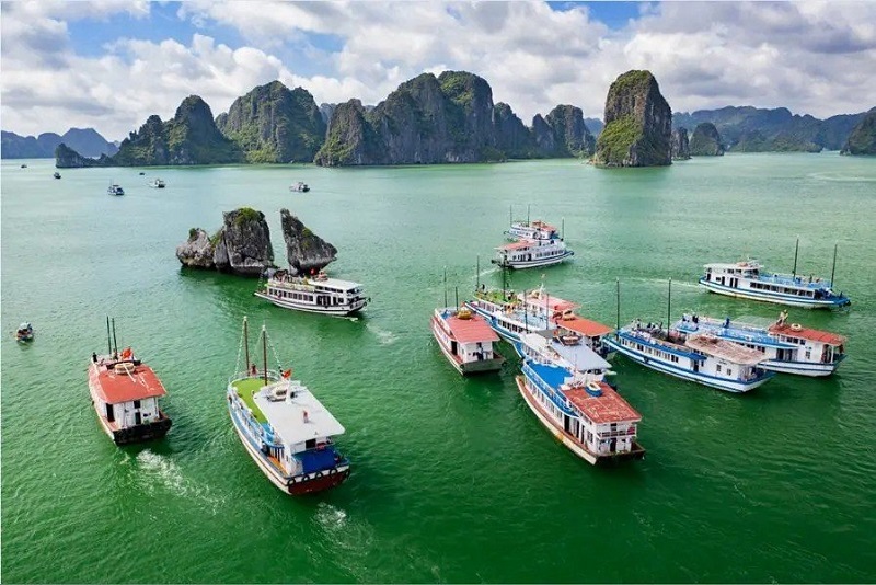 gia-ve-tau-tham-quan-vinh-ha-long