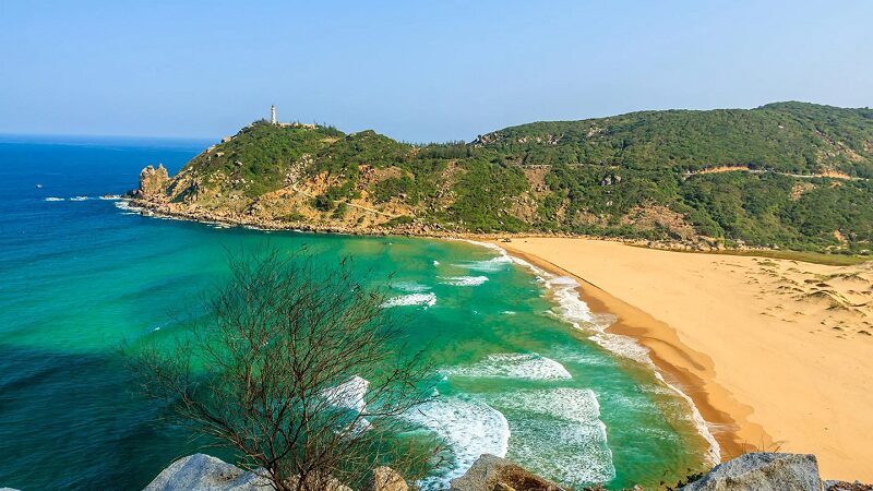 mui-dien-bai-mon-phu-yen