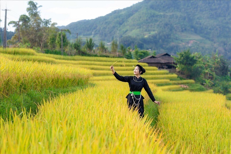 checkin-hoang-su-phi