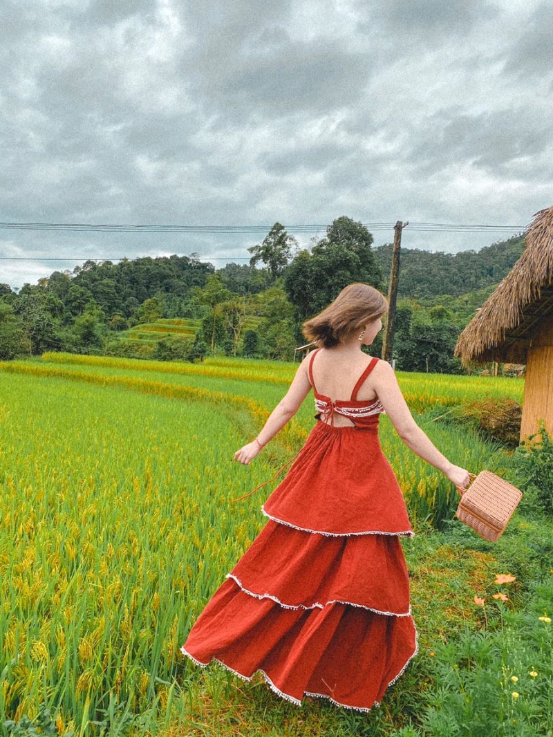 checkin-mua-lua-chin-hoang-su-phi