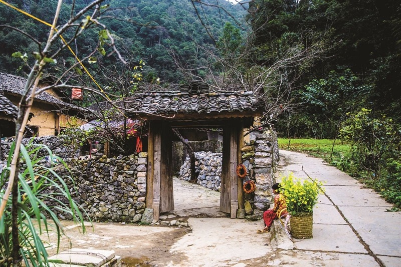 ghe-tham-nha-cua-pao