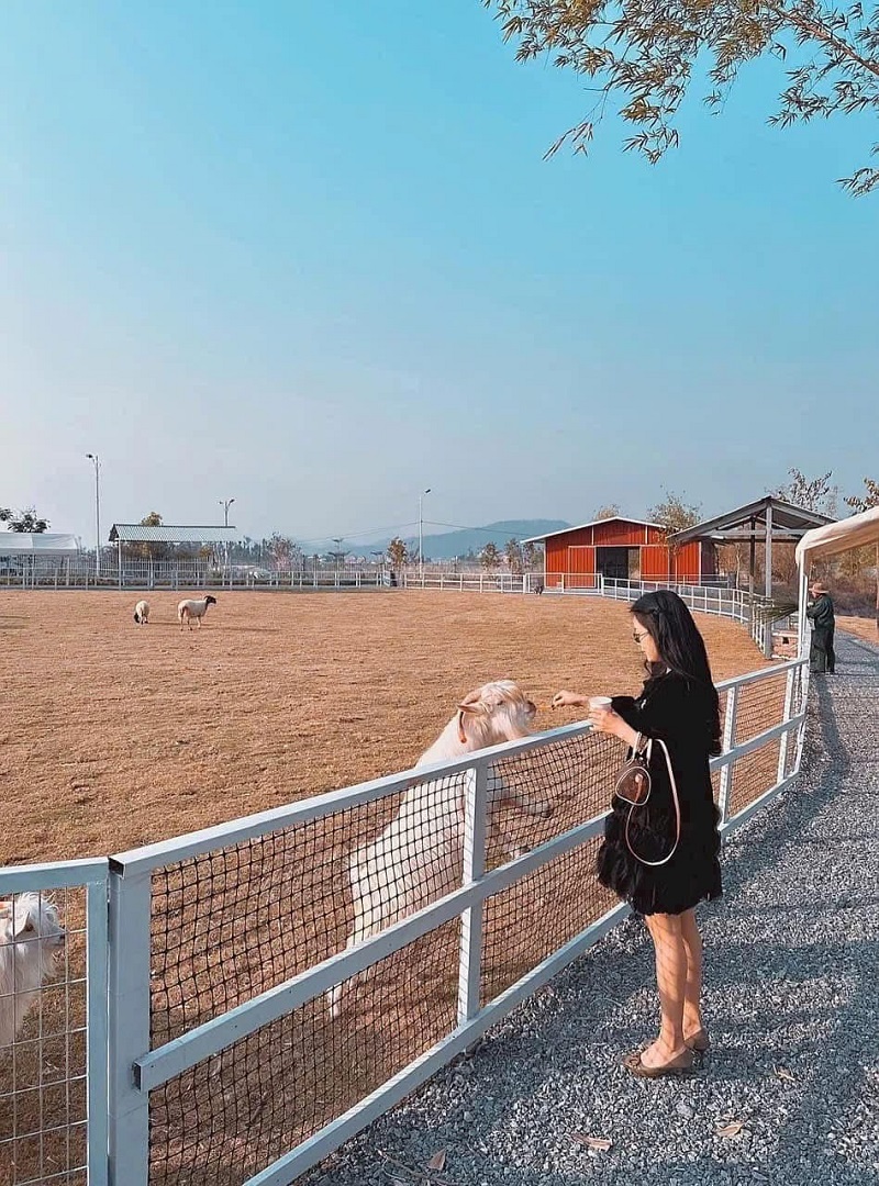 giao-luu-tuan-chau-farm-ha-long