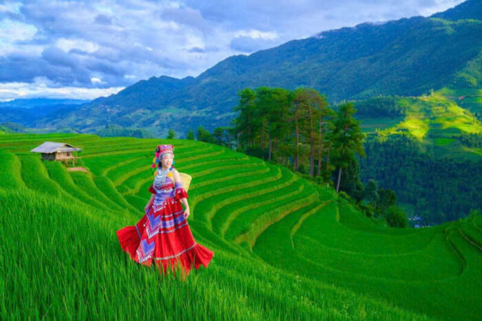 Tour Mù Cang Chải – Sapa – Lai Châu – Điện Biên – Mộc Châu – Mai Châu 5 Ngày 4 Đêm