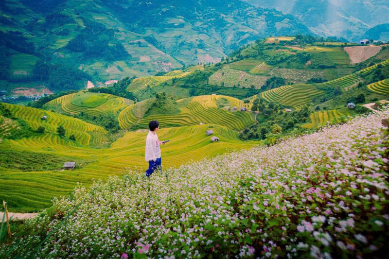 mu-cang-chai-tu-le-12