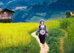 mu-cang-chai-tu-le-2