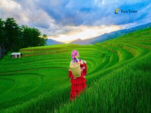 mu-cang-chai-tu-le-6