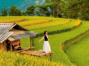mu-cang-chai-tu-le-9