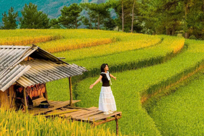 Tour Mù Cang Chải – Đèo Khau Phạ – Tú Lệ 2 Ngày 1 Đêm