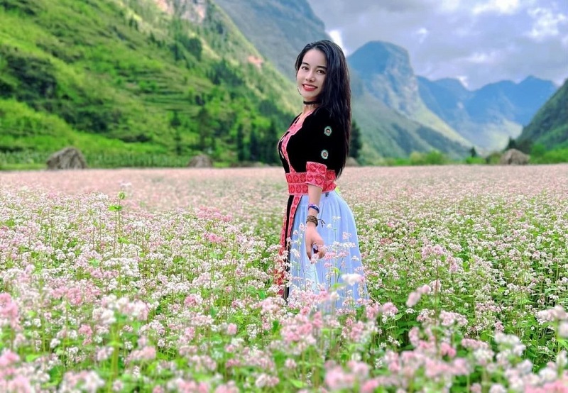 ngam-mua-hoa-va-mua-lua-meo-vac-ha-giang