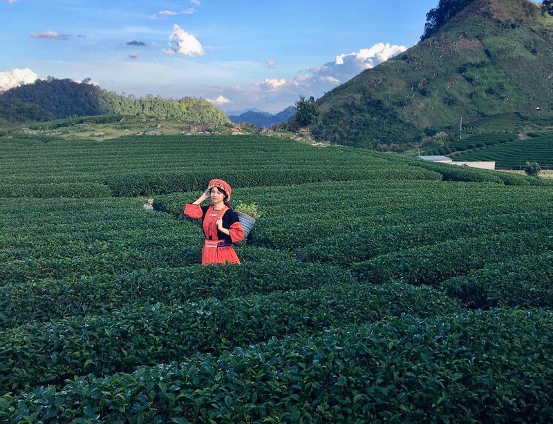 nhung-dieu-can-luu-y-khi-den-nong-truong-moc-chau
